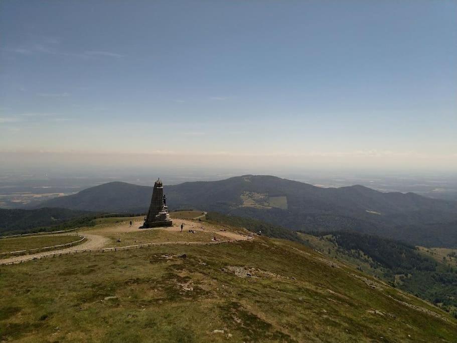 Gite Le Bambou Jama Aspach-le-Haut Buitenkant foto