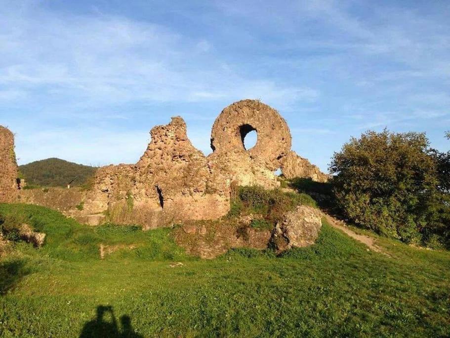Gite Le Bambou Jama Aspach-le-Haut Buitenkant foto