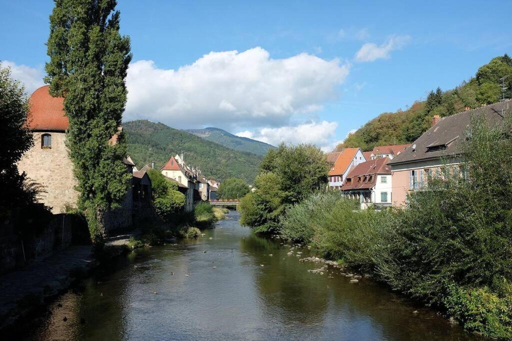 Gite Le Bambou Jama Aspach-le-Haut Buitenkant foto