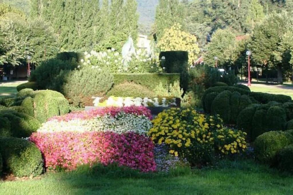 Gite Le Bambou Jama Aspach-le-Haut Buitenkant foto