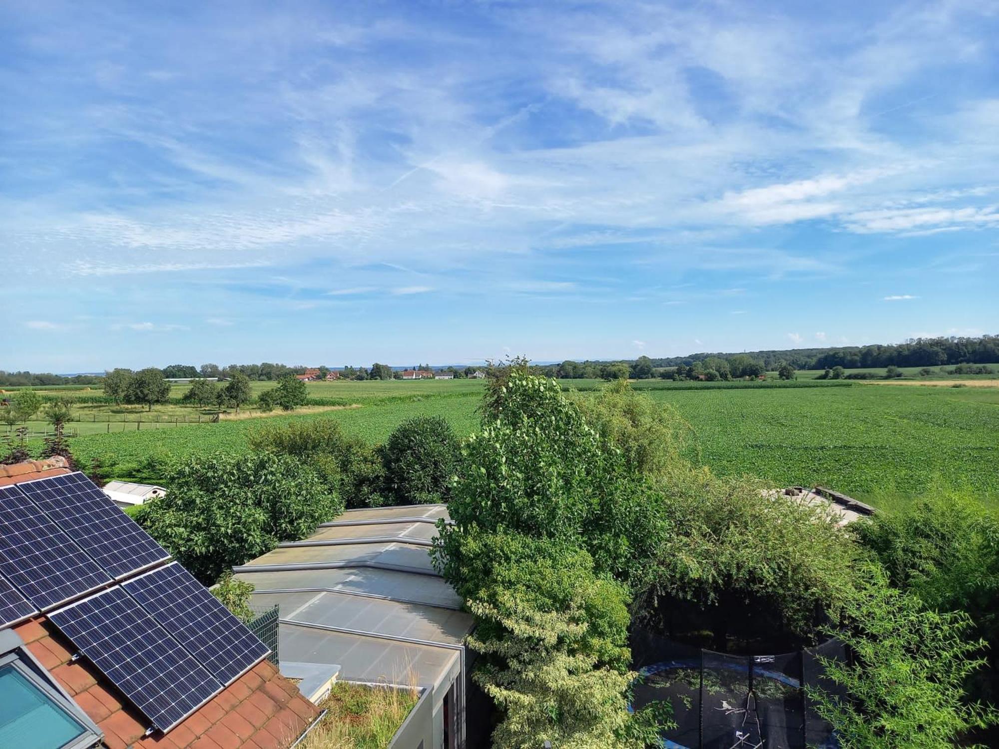 Gite Le Bambou Jama Aspach-le-Haut Buitenkant foto